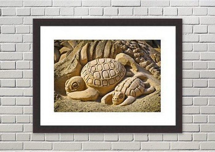 Framed Print Framed Print